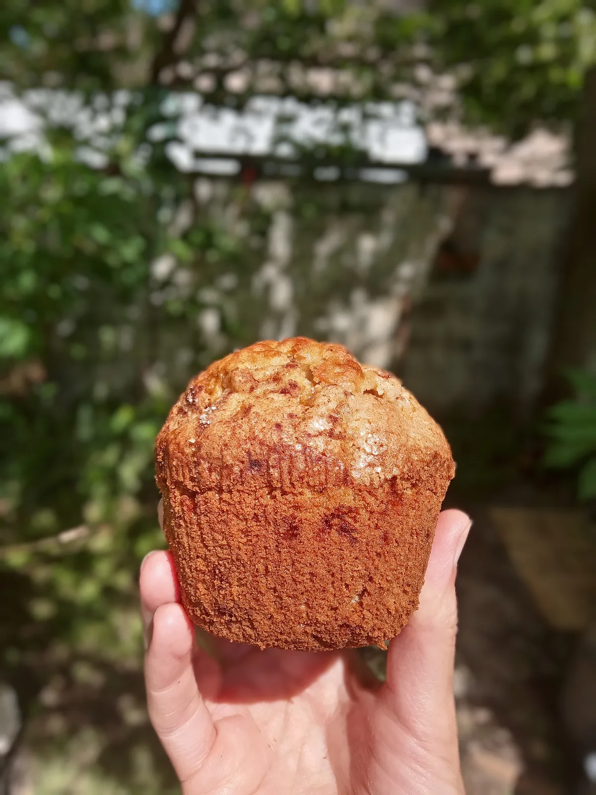 Muffin integral