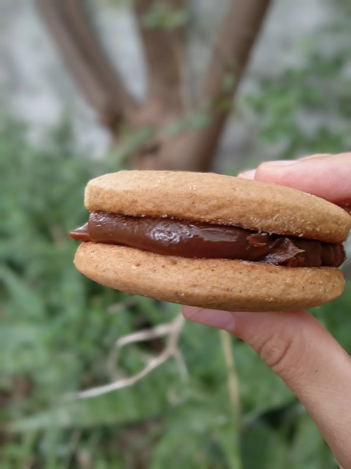 Alfajor